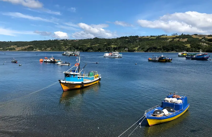 Dalcahue Chiloé 4